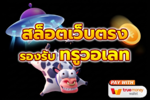 ระบบฝากถอนวอเลทสล็อตออนไลน์ 2026
